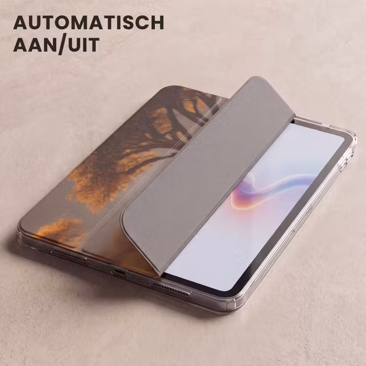 iPad hoes - Zebra's - Savannelandschap - Gras — 5