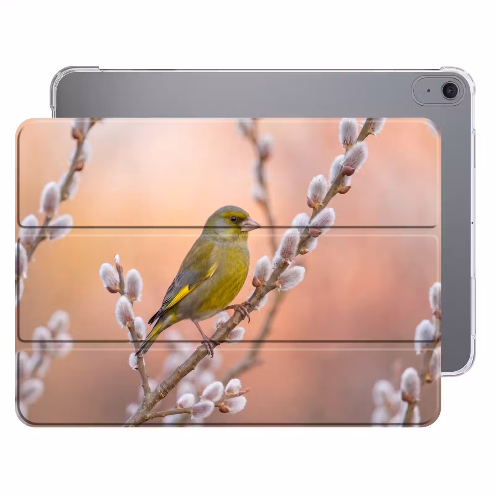 iPad hoes - Groenling - Katjes - Lente - Natuur - Zacht — 1