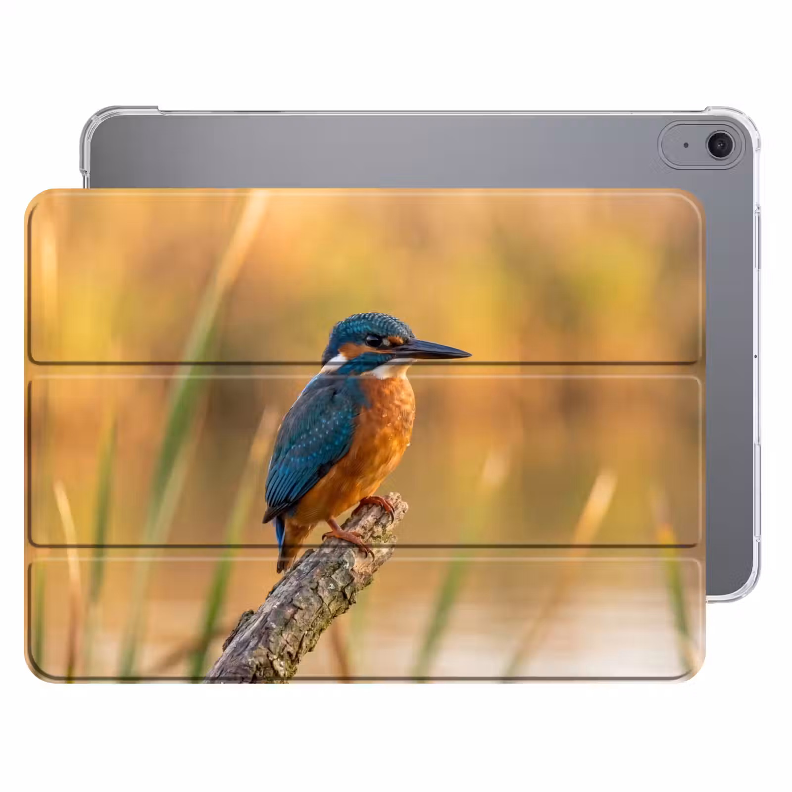 iPad hoes - IJsvogel - Tak - Water - Kleurrijk - Levendig — 1