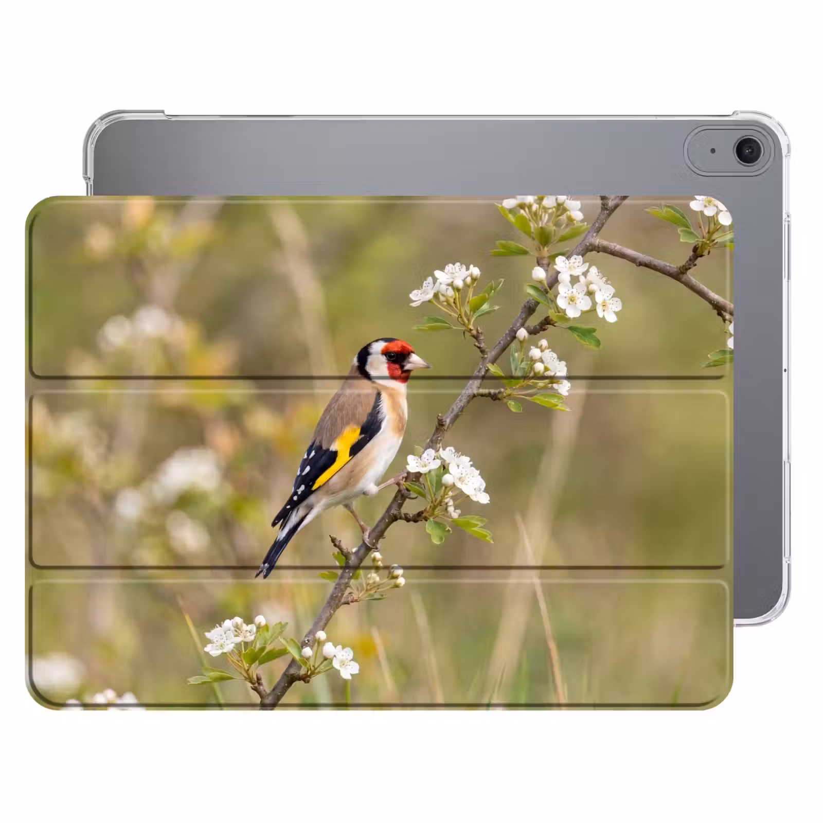 iPad hoes - Putter - Bloesem - Lente - Natuur - Kleurrijk — 1