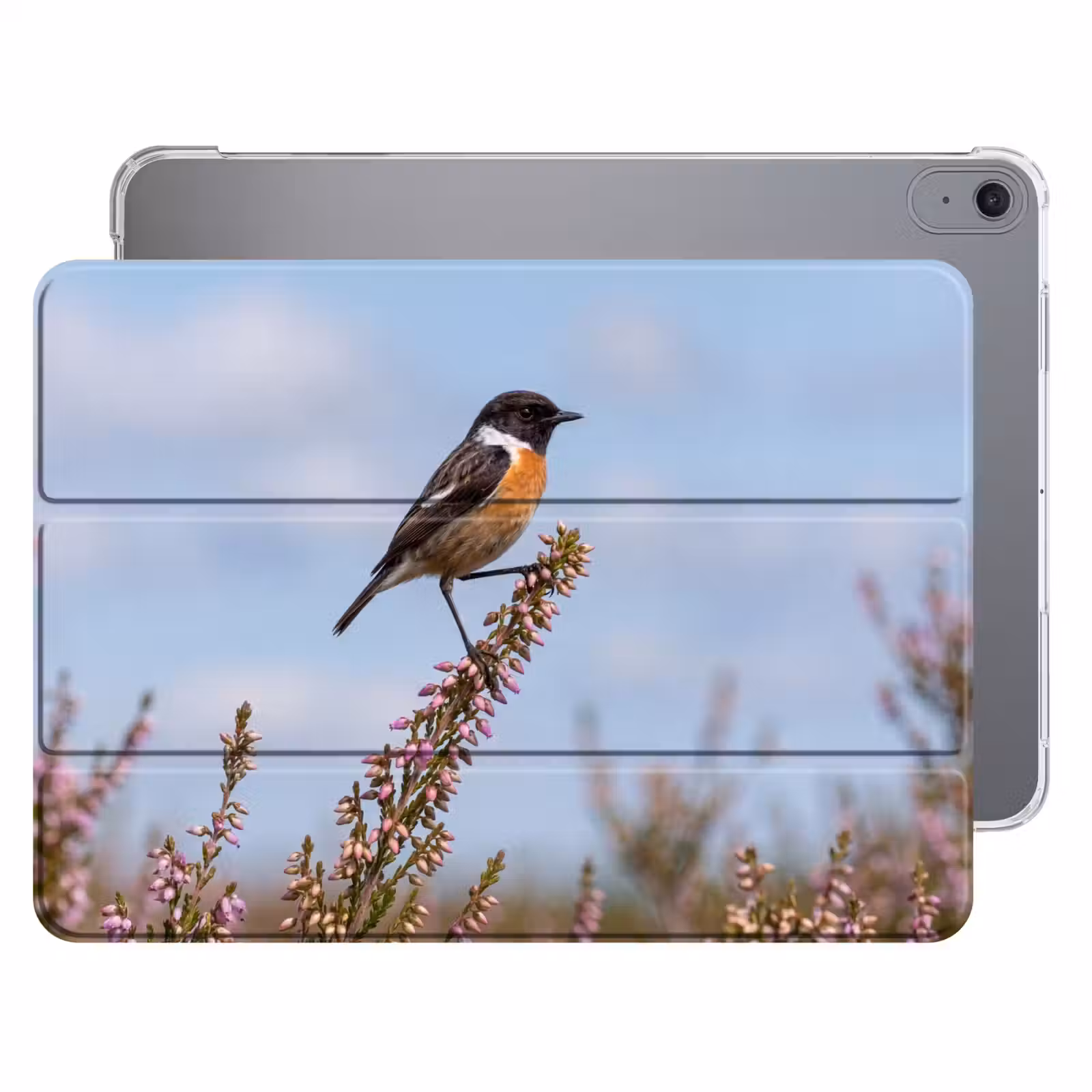 iPad hoes - Roodborsttapuit - Heide - Paars - Natuur - Sfeervol — 1