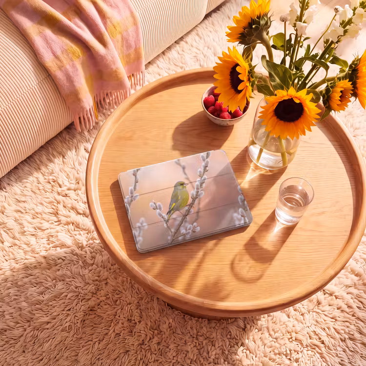iPad hoes - Groenling - Katjes - Lente - Natuur - Zacht — 2