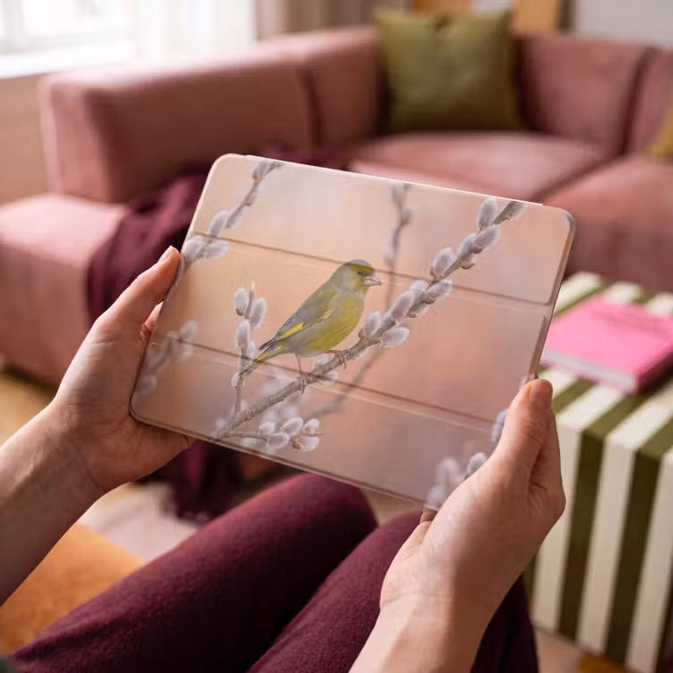 iPad hoes - Groenling - Katjes - Lente - Natuur - Zacht — 4