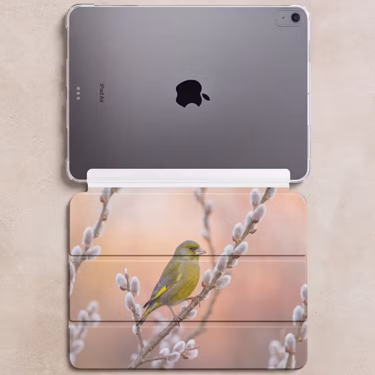 iPad hoes - Groenling - Katjes - Lente - Natuur - Zacht — 6