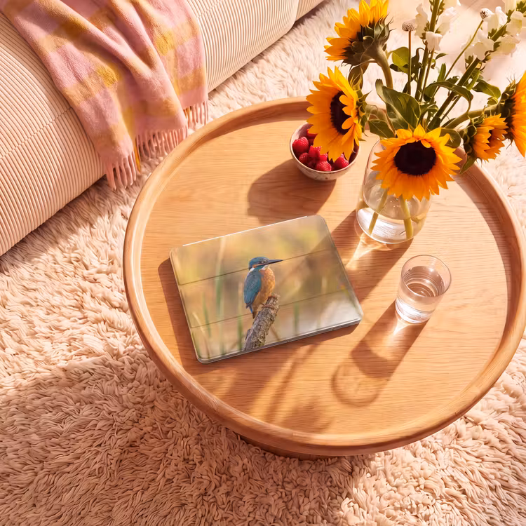 iPad hoes - IJsvogel - Tak - Water - Kleurrijk - Levendig — 2