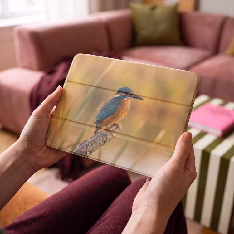 iPad hoes - IJsvogel - Tak - Water - Kleurrijk - Levendig — 4
