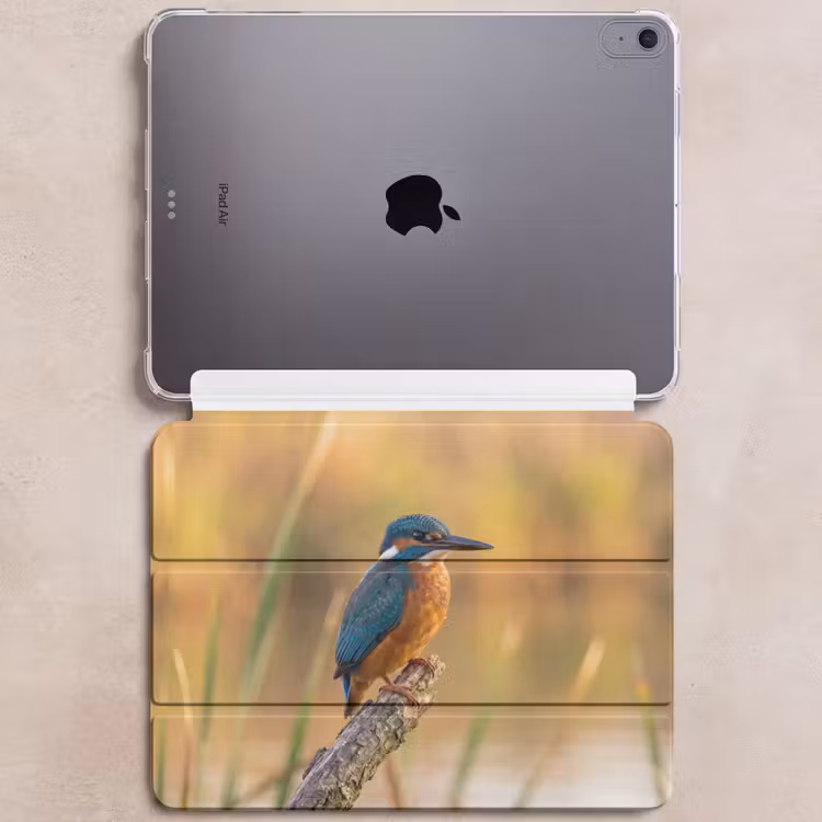 iPad hoes - IJsvogel - Tak - Water - Kleurrijk - Levendig — 6
