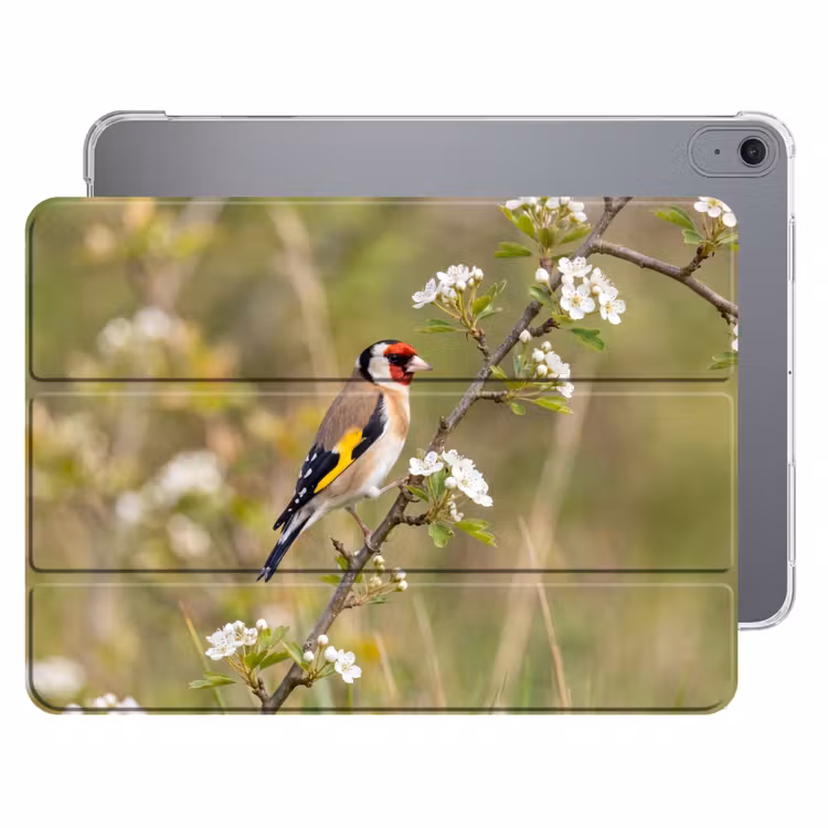 iPad hoes - Putter - Bloesem - Lente - Natuur - Kleurrijk — 1
