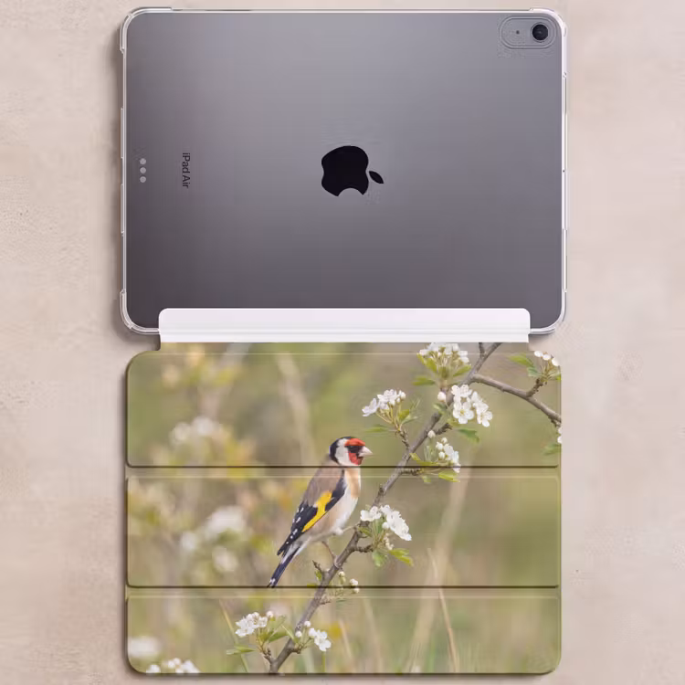 iPad hoes - Putter - Bloesem - Lente - Natuur - Kleurrijk — 6