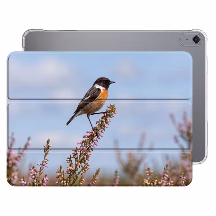 iPad hoes - Roodborsttapuit - Heide - Paars - Natuur - Sfeervol — 1