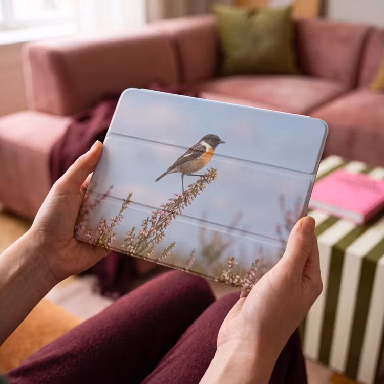 iPad hoes - Roodborsttapuit - Heide - Paars - Natuur - Sfeervol — 4