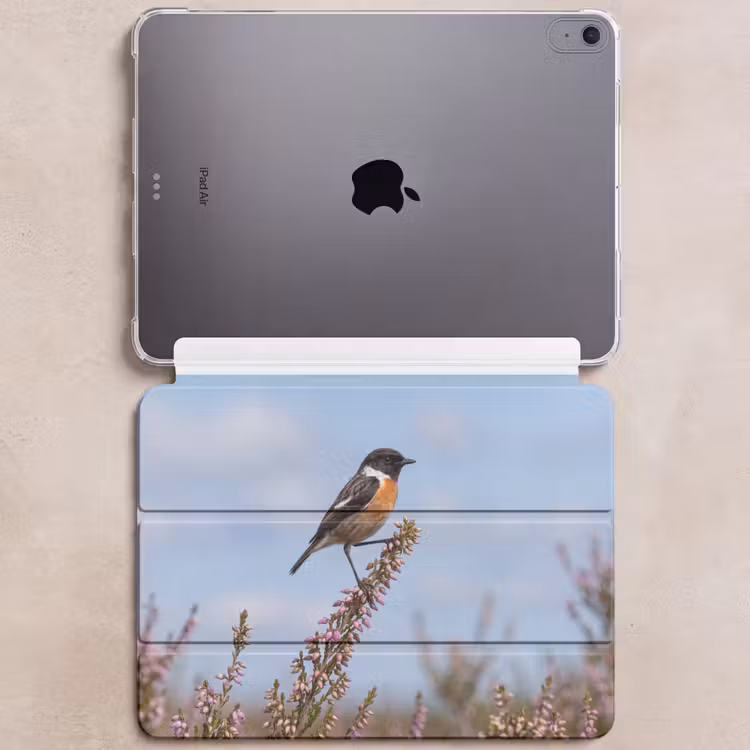 iPad hoes - Roodborsttapuit - Heide - Paars - Natuur - Sfeervol — 6