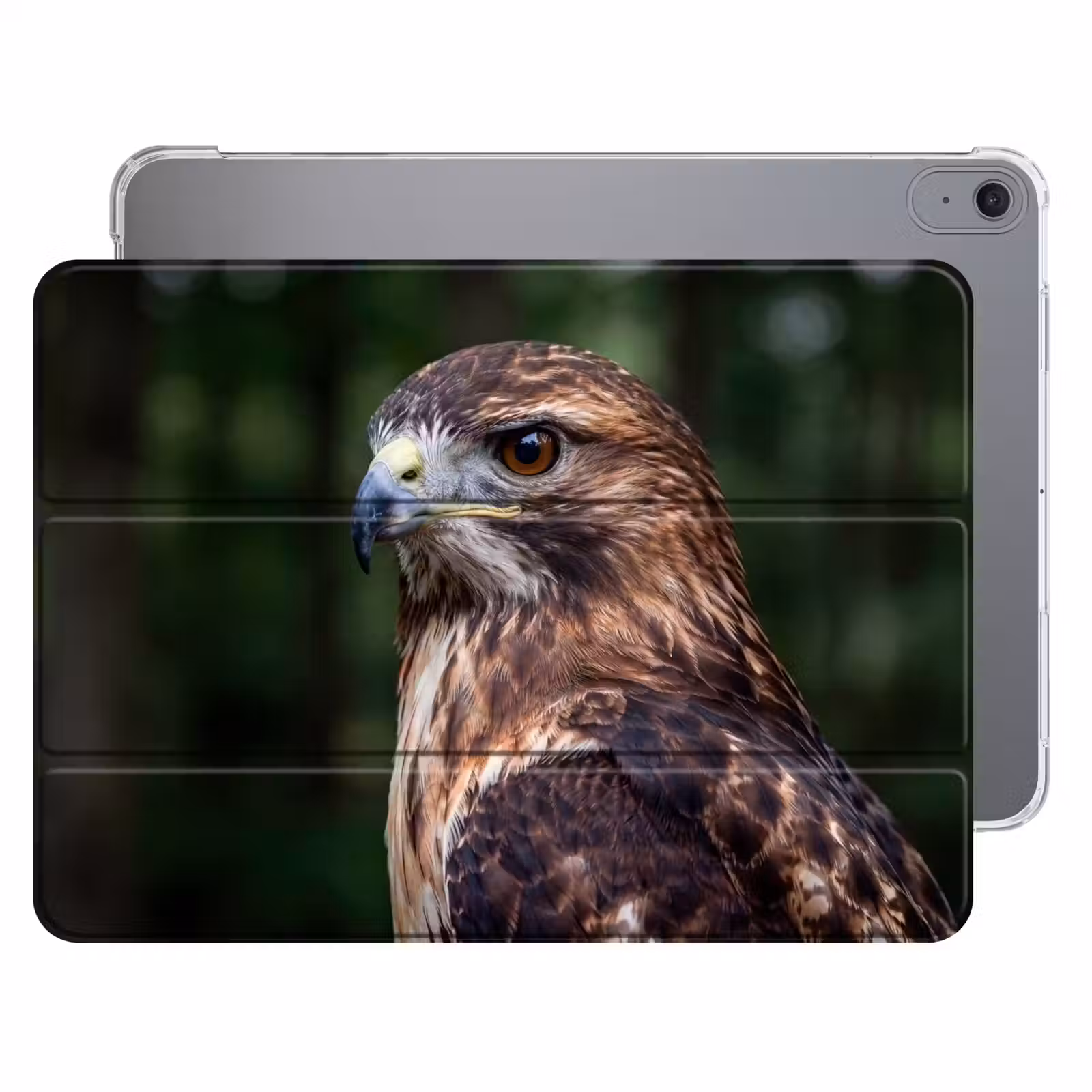 iPad hoes - Buizerd - Roofvogel - Natuur - Bruin — 1