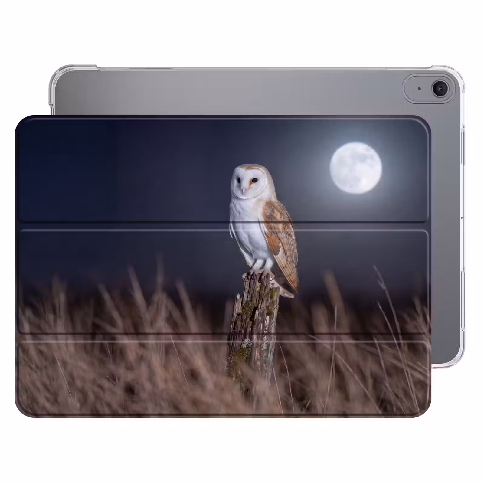 iPad hoes - Kerkuil - Maan - Nacht — 1