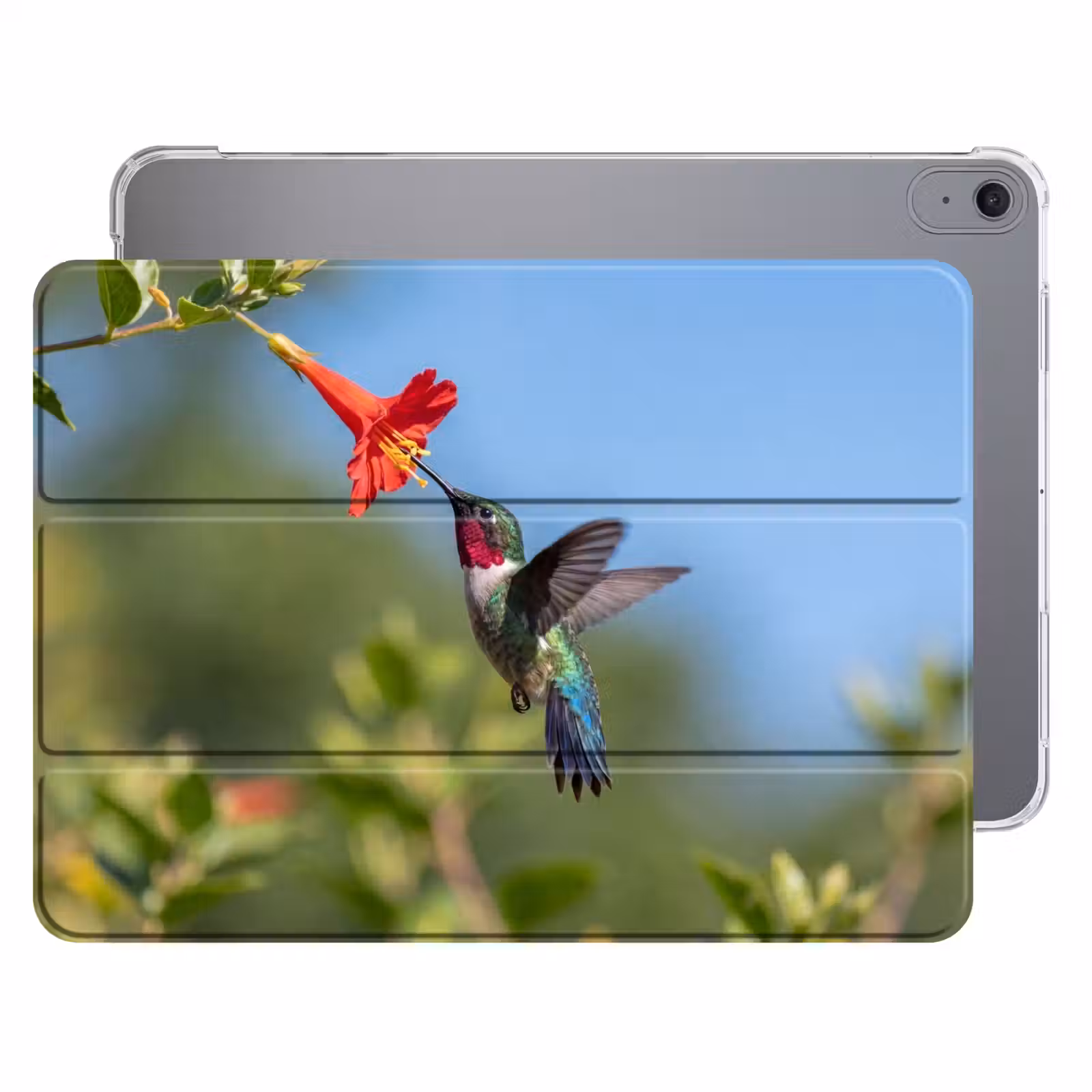 iPad hoes - Kolibrie - Bloem - Natuur - Groen — 1