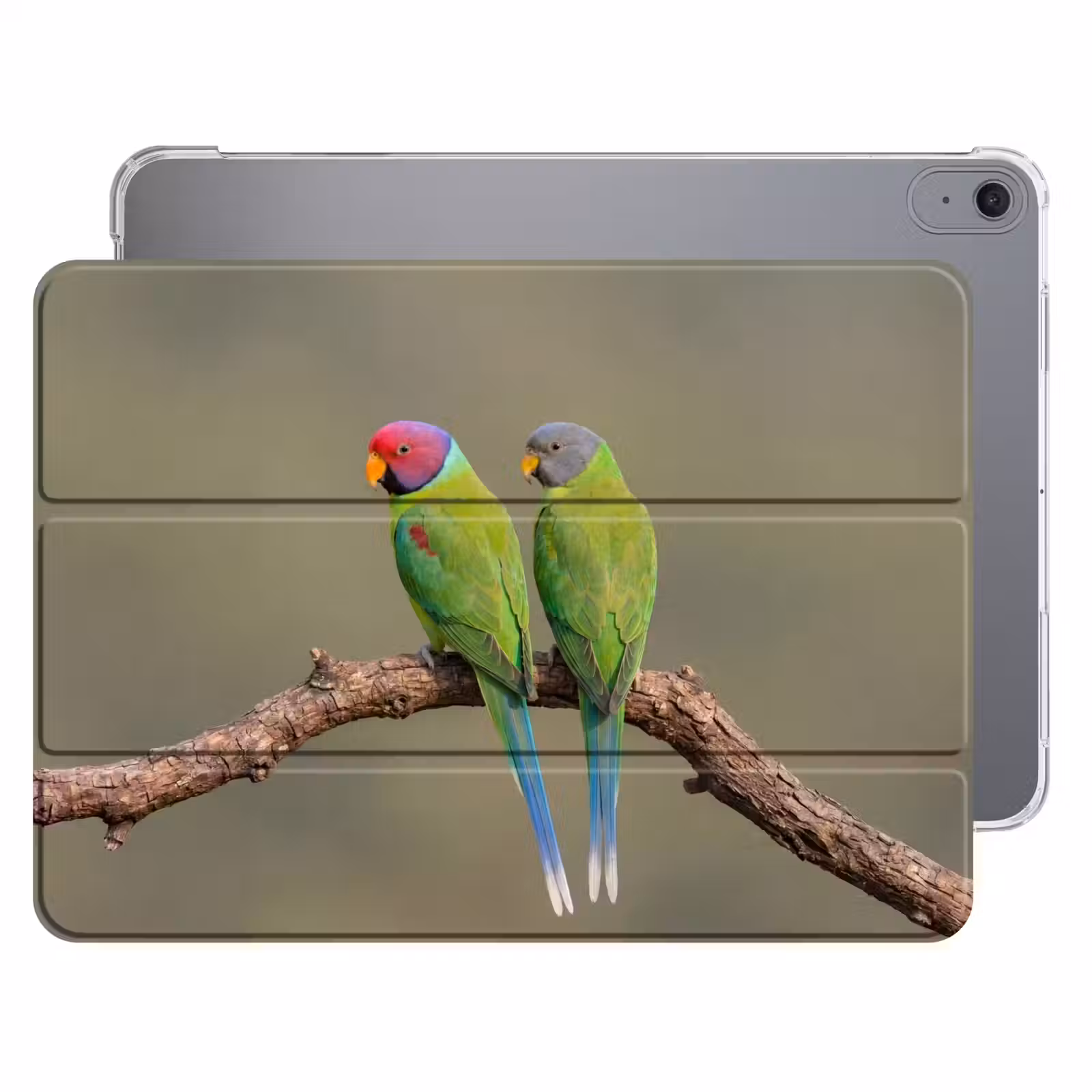 iPad hoes - Papagaai - Tak - Natuur - Kleurrijk — 1