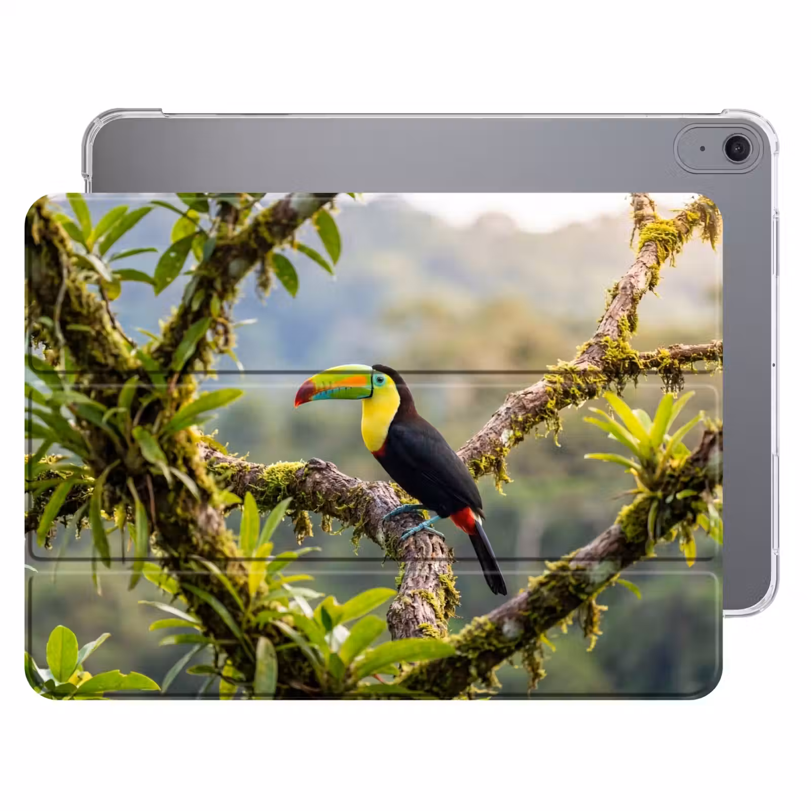 iPad hoes - Toekan - Jungle - Natuur - Kleurrijk — 1
