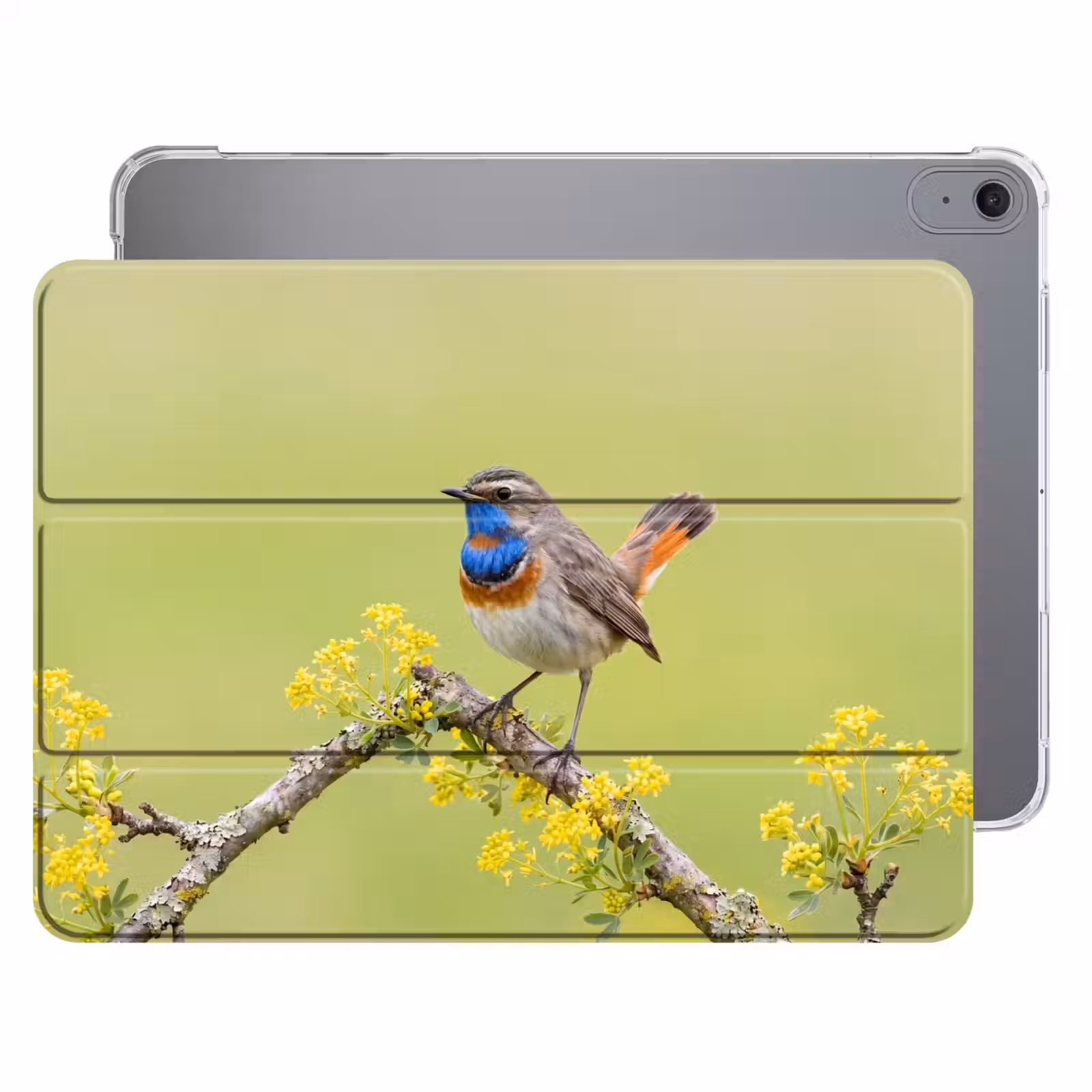 iPad hoes - Vogel - Tak - Natuur - Kleurrijk — 1