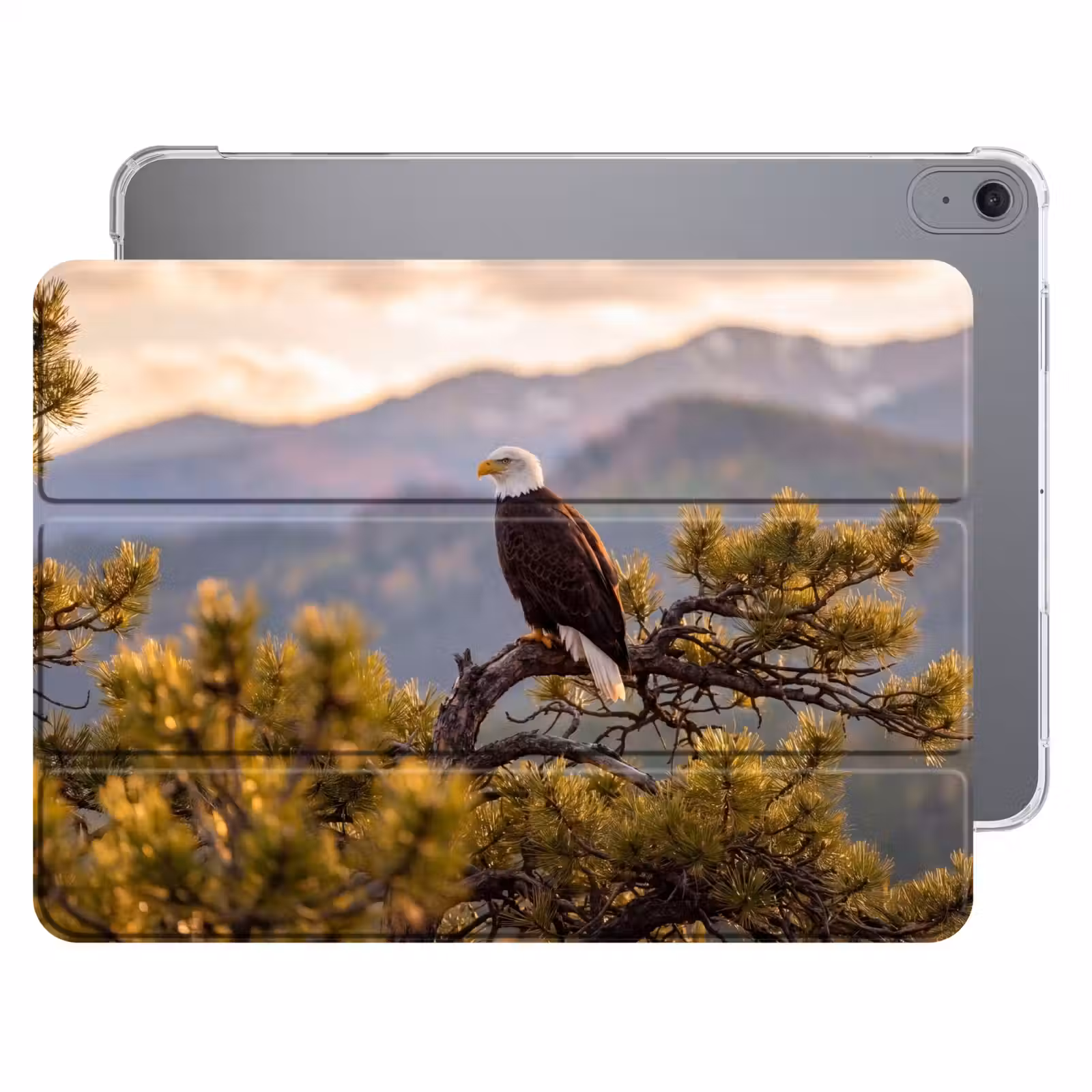 iPad hoes - Zeearend - Boom - Bergen - Groen — 1