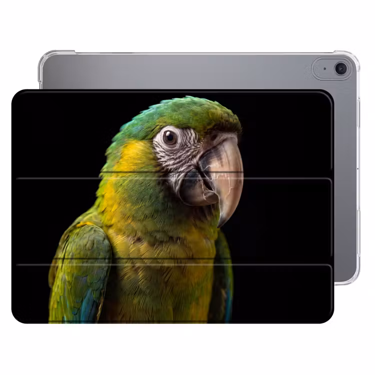 iPad hoes - Ara - Portret - Groen — 1