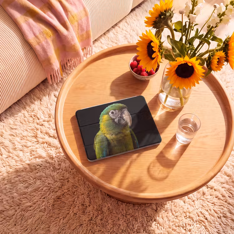 iPad hoes - Ara - Portret - Groen — 2