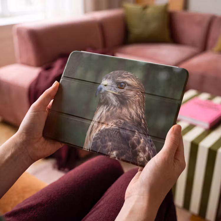 iPad hoes - Buizerd - Roofvogel - Natuur - Bruin — 4