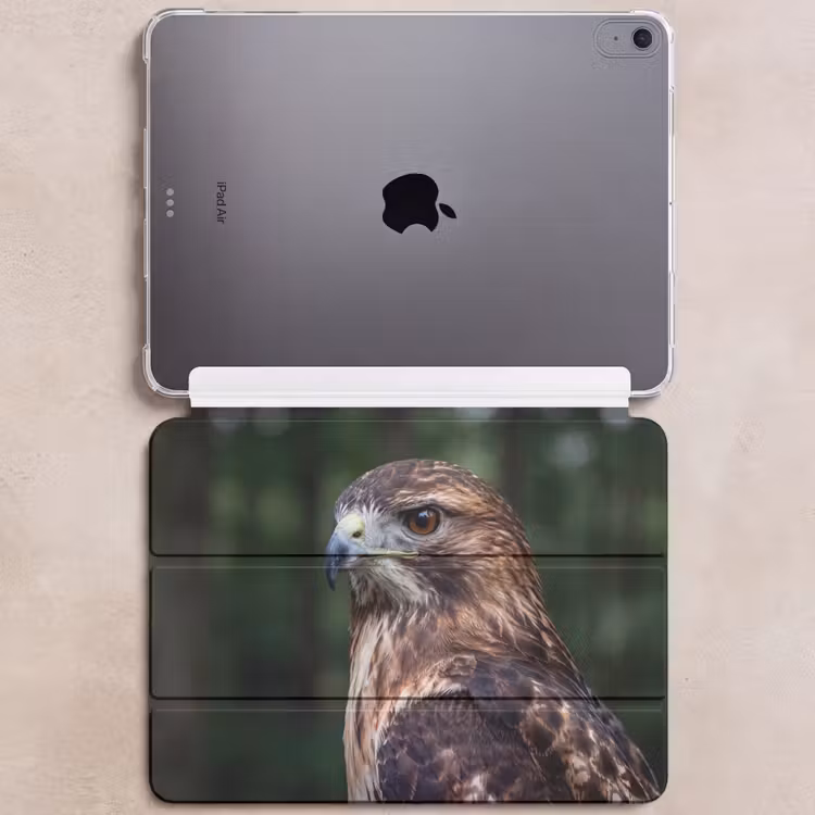 iPad hoes - Buizerd - Roofvogel - Natuur - Bruin — 6