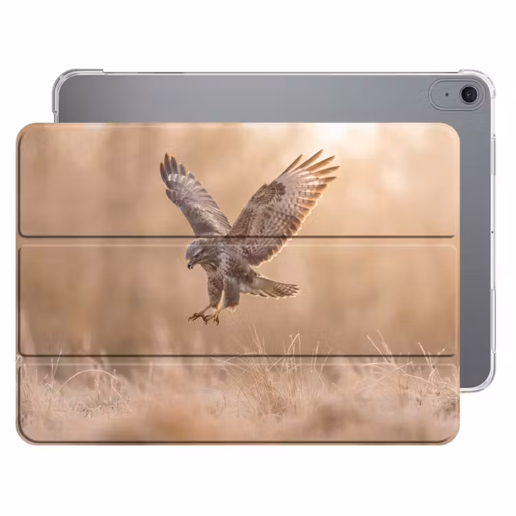 iPad hoes - Buizerd - Roofvogel - Natuur - Bruin — 1