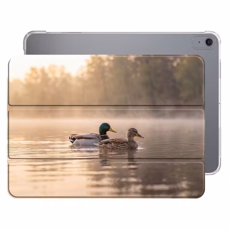 iPad hoes - Eenden - Water - Mist - Natuur — 1