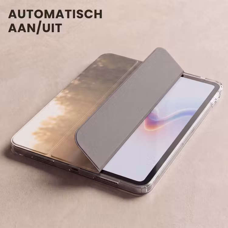 iPad hoes - Eenden - Water - Mist - Natuur — 5