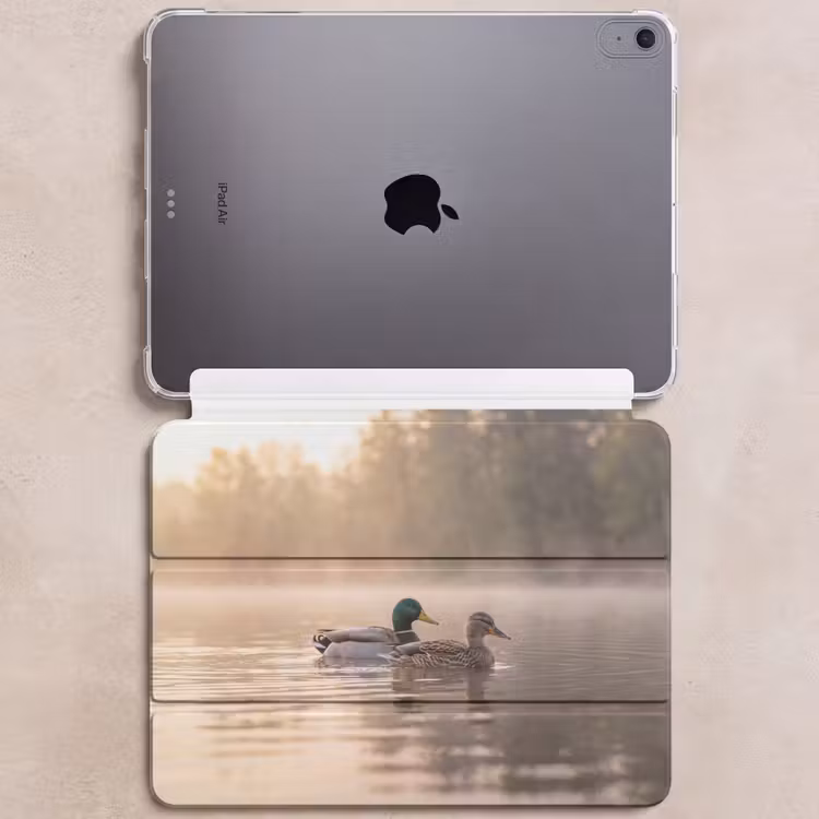 iPad hoes - Eenden - Water - Mist - Natuur — 6