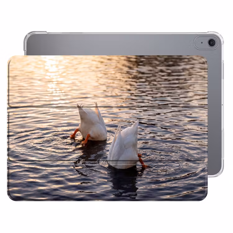 iPad hoes - Eenden - Water - Natuur — 1