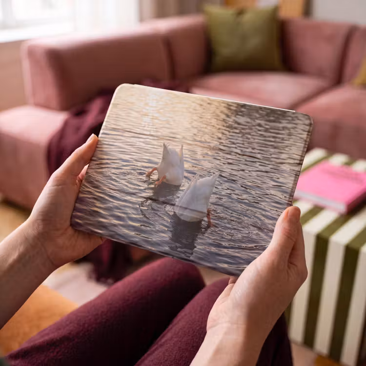 iPad hoes - Eenden - Water - Natuur — 4