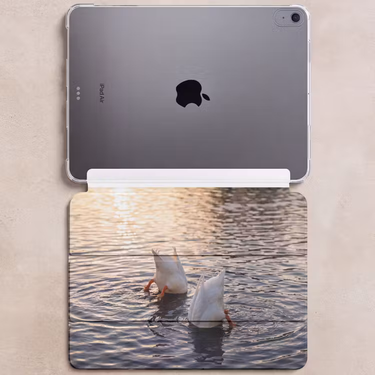 iPad hoes - Eenden - Water - Natuur — 6