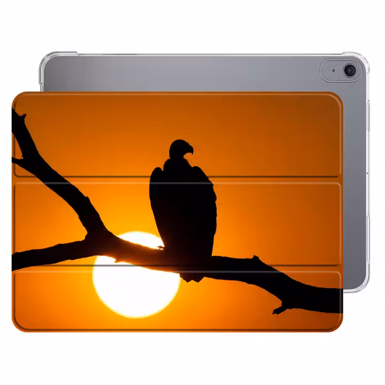 iPad hoes - Gier - Tak - Zon - Oranje — 1