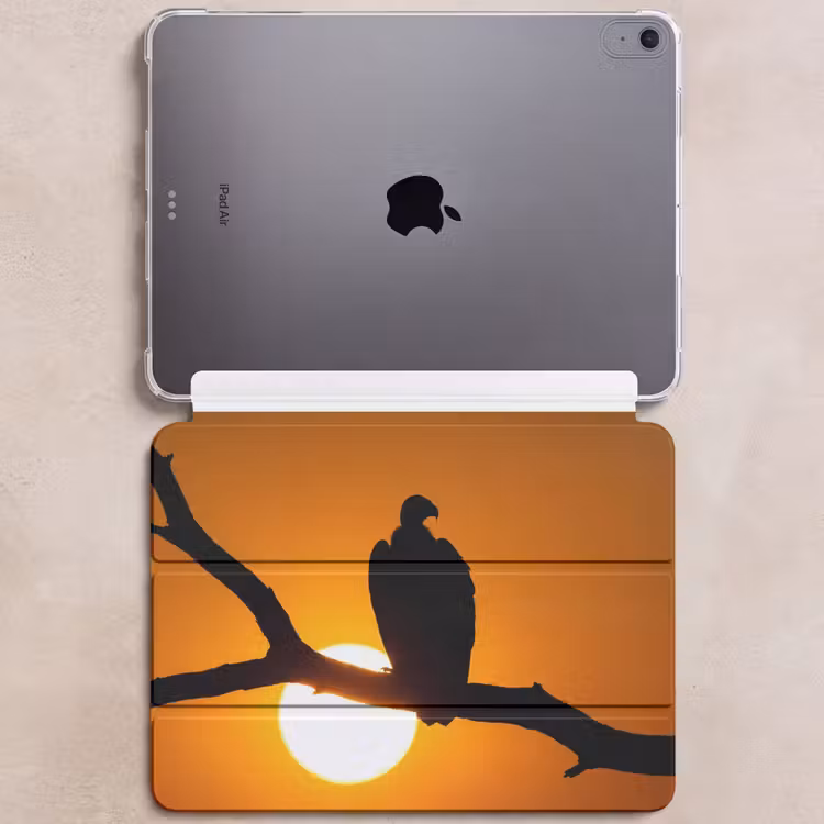 iPad hoes - Gier - Tak - Zon - Oranje — 6