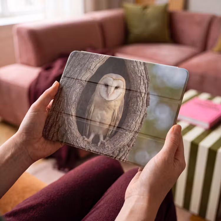 iPad hoes - Kerkuil - Boom - Natuur - Bruin — 4