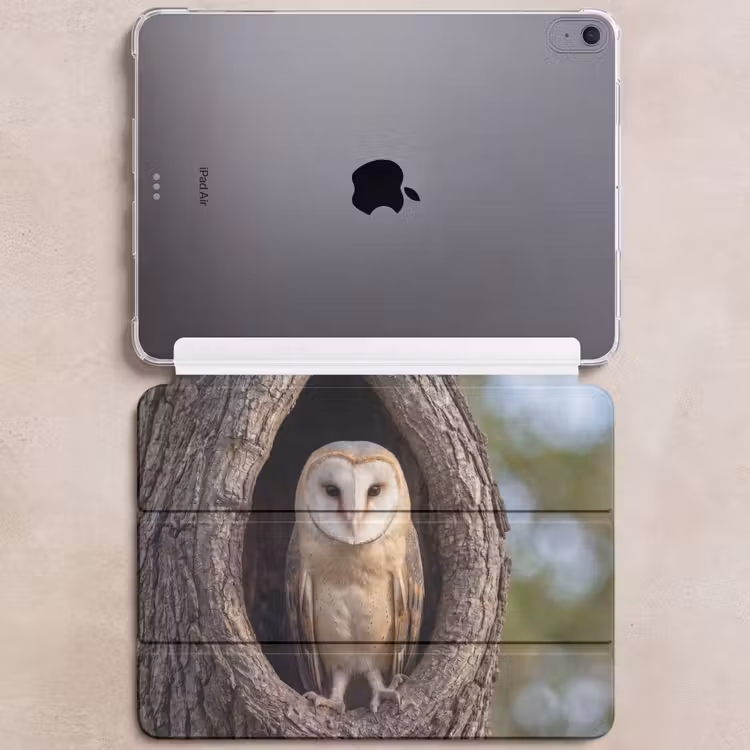 iPad hoes - Kerkuil - Boom - Natuur - Bruin — 6