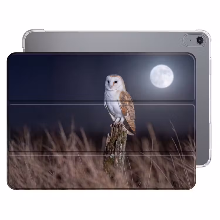 iPad hoes - Kerkuil - Maan - Nacht — 1