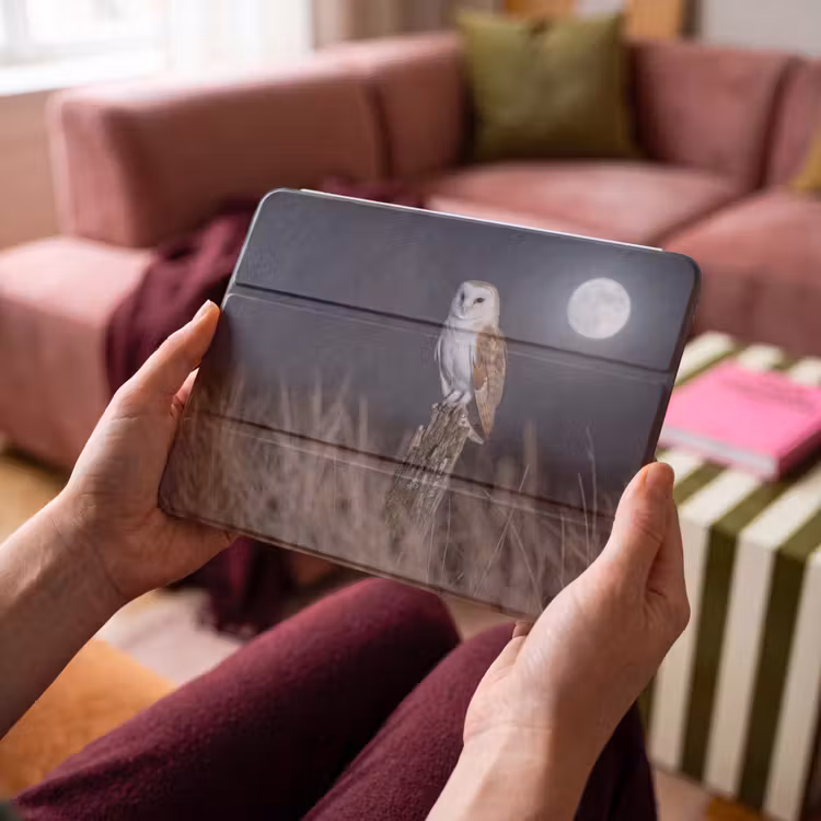 iPad hoes - Kerkuil - Maan - Nacht — 4