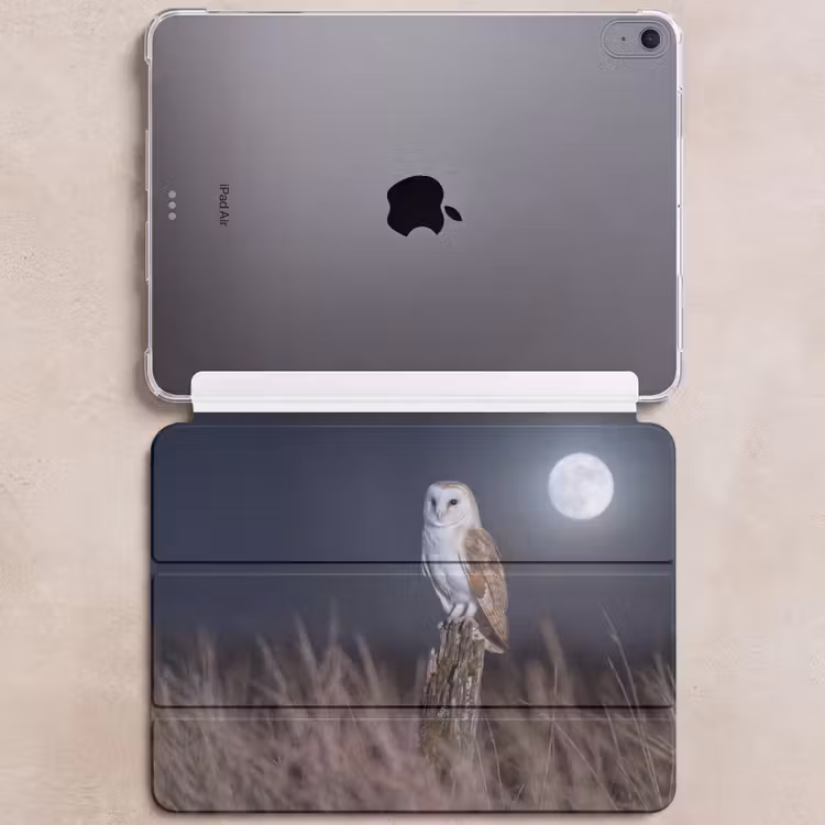iPad hoes - Kerkuil - Maan - Nacht — 6