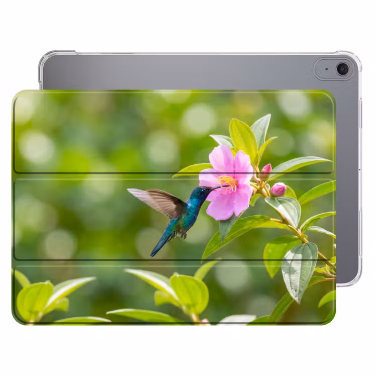 iPad hoes - Kolibrie - Bloem - Natuur - Groen — 1