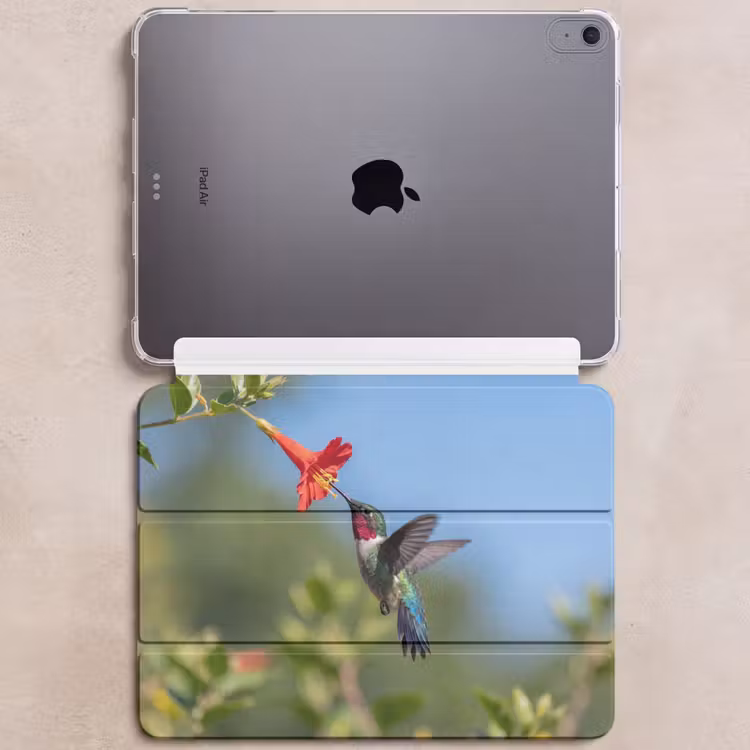 iPad hoes - Kolibrie - Bloem - Natuur - Groen — 6