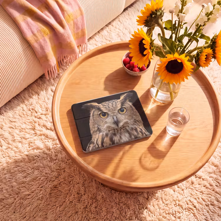 iPad hoes - Oehoe - Uil - Portret - Bruin — 2