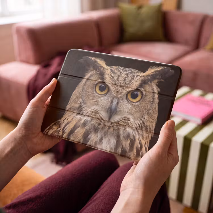 iPad hoes - Oehoe - Uil - Portret - Bruin — 4