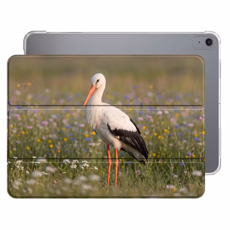 iPad hoes - Ooienvaar - Bloemen - Weide - Kleurrijk — 1