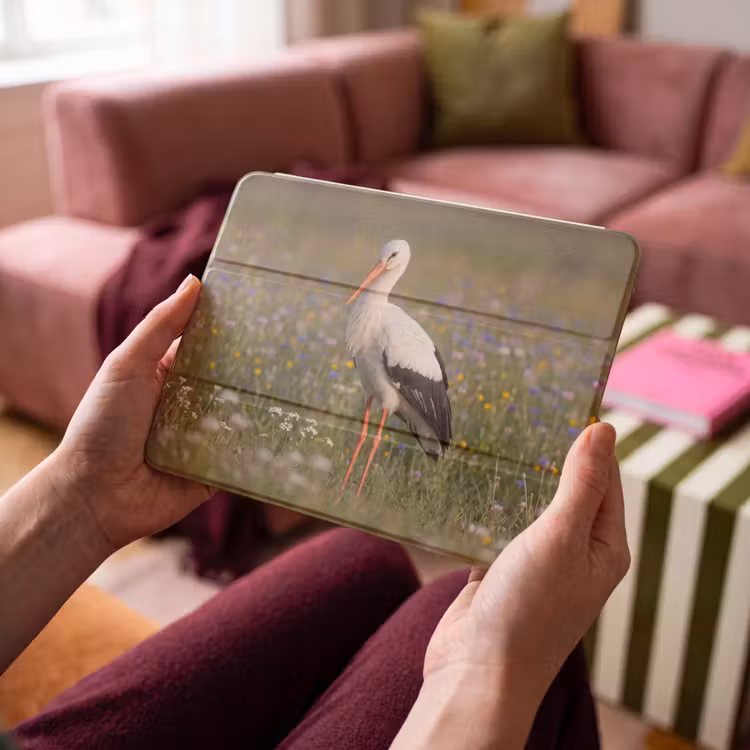 iPad hoes - Ooienvaar - Bloemen - Weide - Kleurrijk — 4