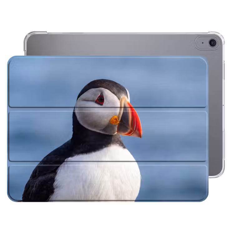 iPad hoes - Papegaaiduiker - Portret - Natuur — 1