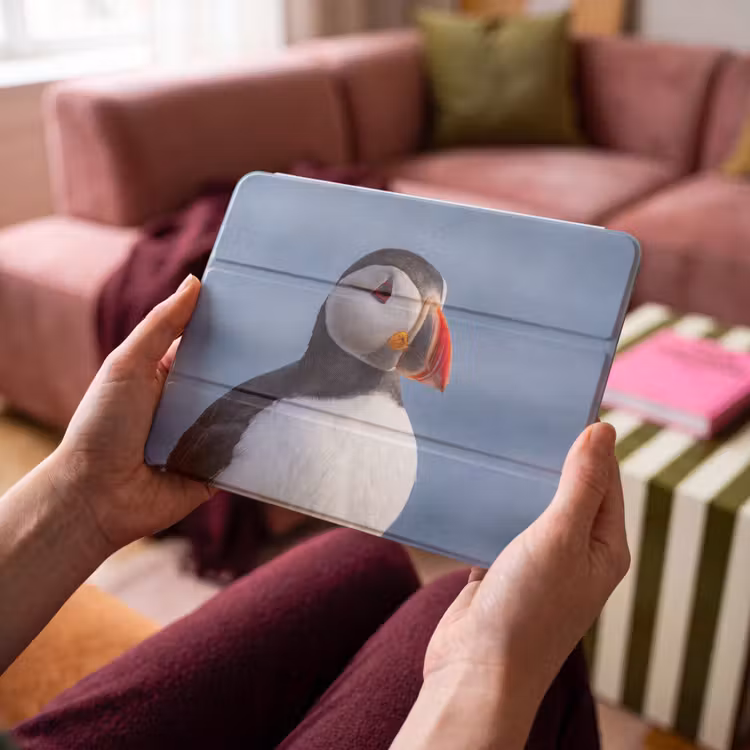 iPad hoes - Papegaaiduiker - Portret - Natuur — 4
