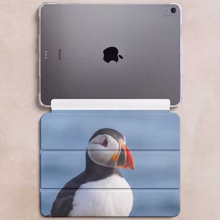 iPad hoes - Papegaaiduiker - Portret - Natuur — 6
